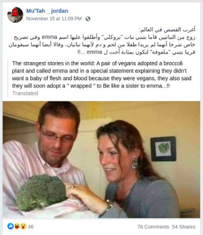 هذا الخبر عن تبني زوجين نباتيين نبتة بروكولي ساخر | في ...